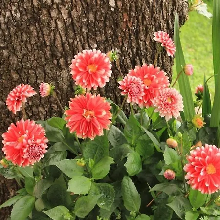 With A Parking Space - 7854 אופטיה